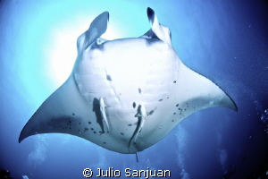 Manta above the bubles of divers, Nikon D70, 10mm, 2 Inon... by Julio Sanjuan 